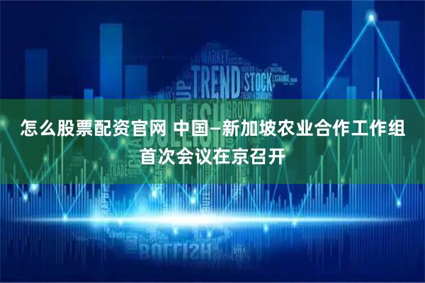 怎么股票配资官网 中国—新加坡农业合作工作组首次会议在京召开