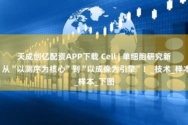 天成创亿配资APP下载 Cell | 单细胞研究新突破：从“以测序为核心”到“以成像为引擎”！_技术_样本_下图