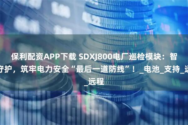 保利配资APP下载 SDXJ800电厂巡检模块：智能守护，筑牢电力安全“最后一道防线”！_电池_支持_远程