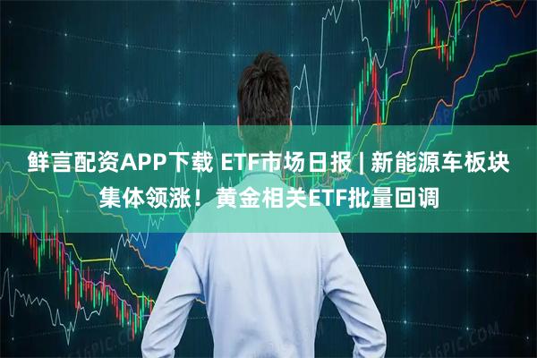 鲜言配资APP下载 ETF市场日报 | 新能源车板块集体领涨！黄金相关ETF批量回调